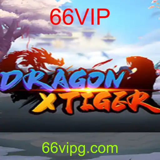 DragonXTiger